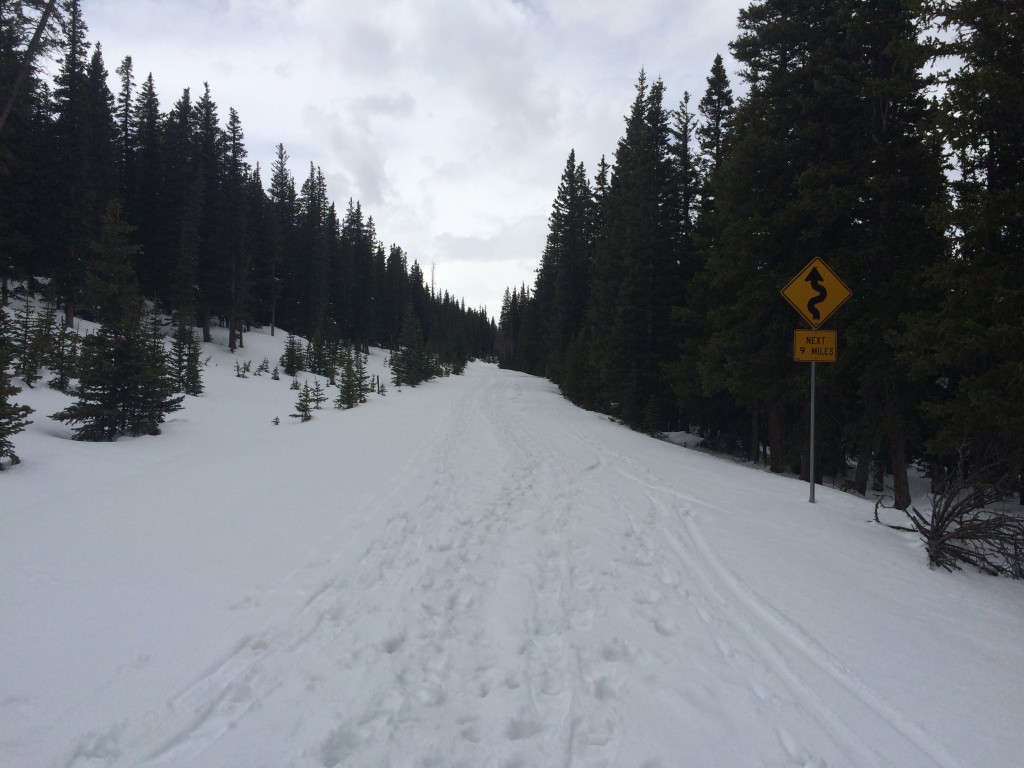 Snow tracks