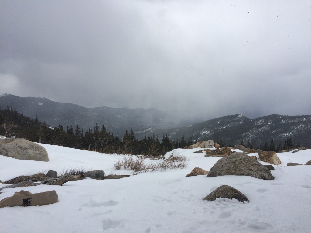 Mt Goliath Natural Area parking lot ahead