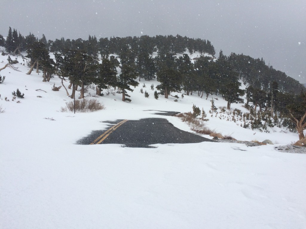 Windswept road