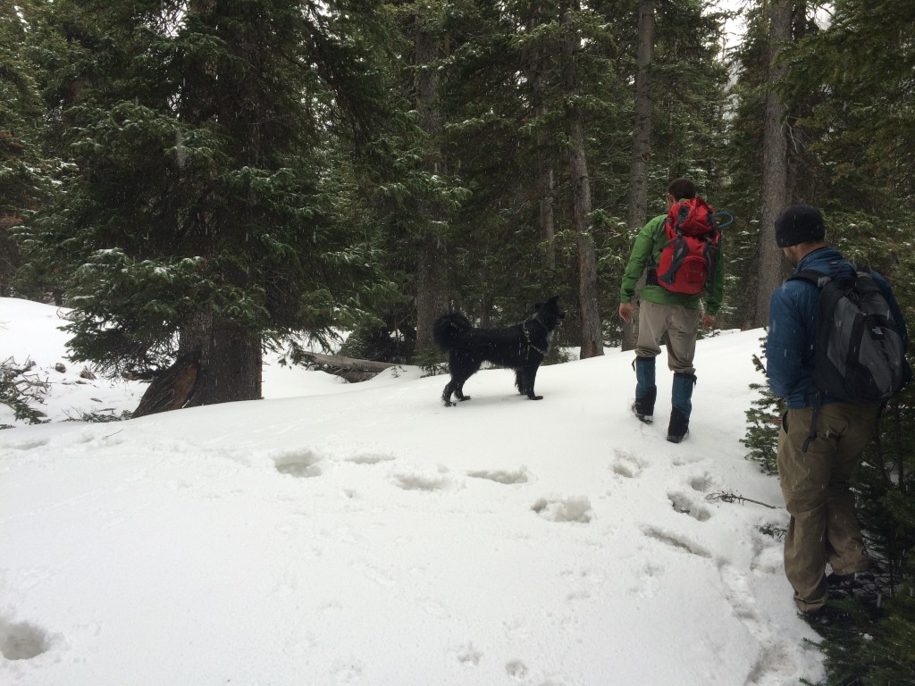 Shelf Lake Trail Upper Portion