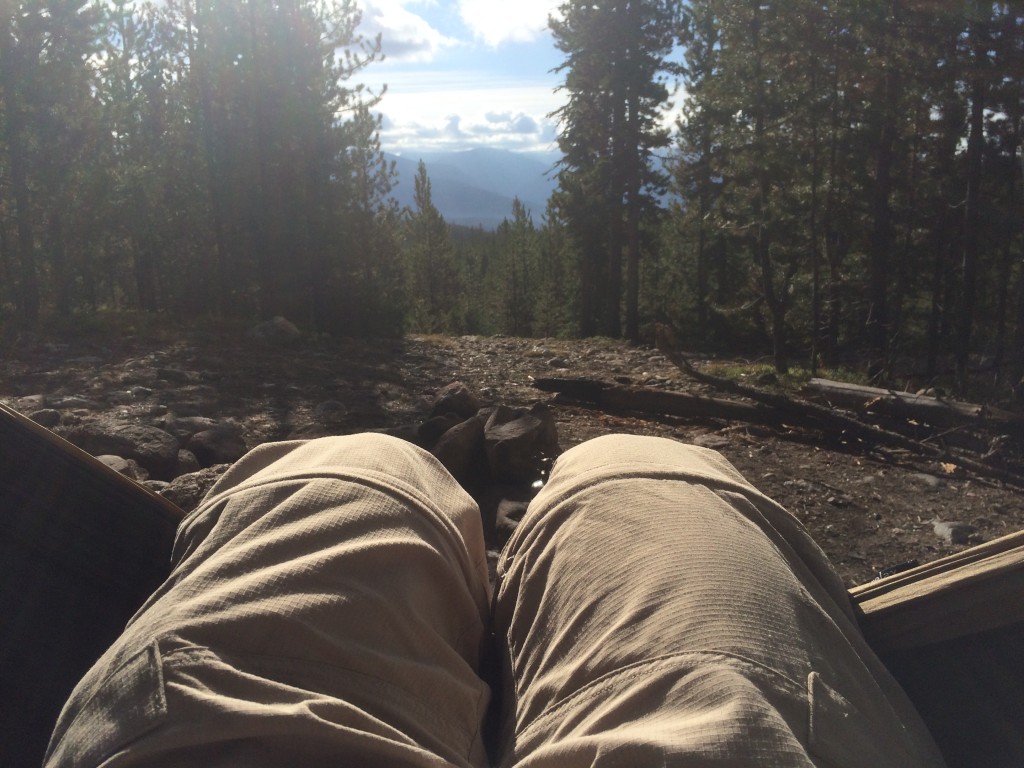 Hammock View