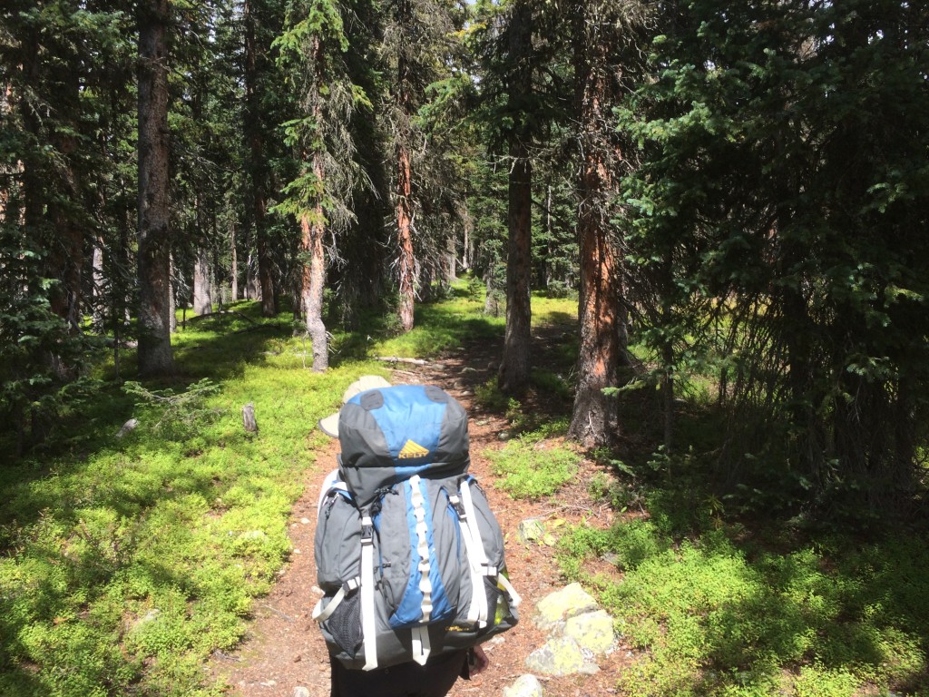 Hiking Nice Shady Single Track