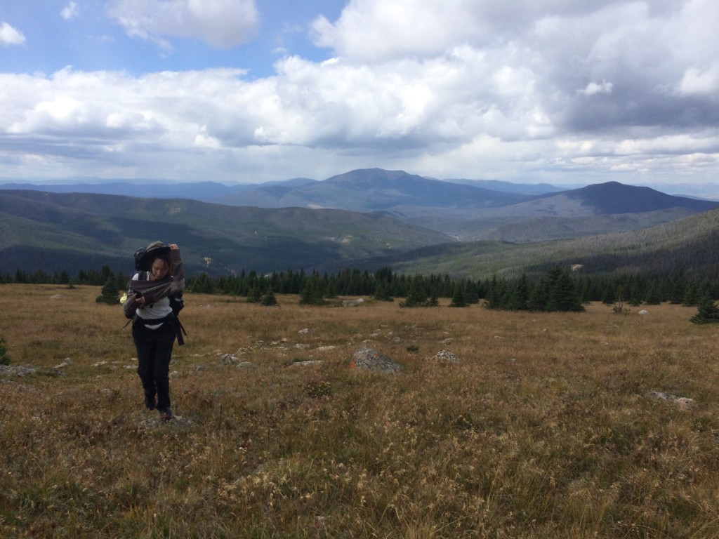 Views above treeline