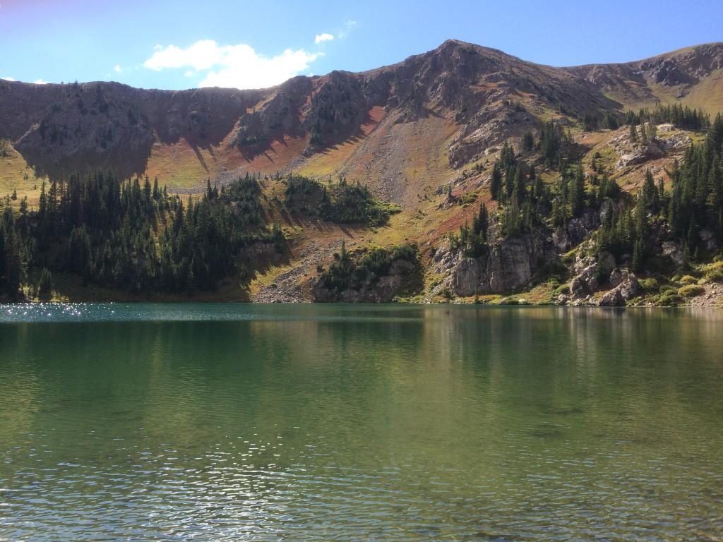 Bowen Lake View