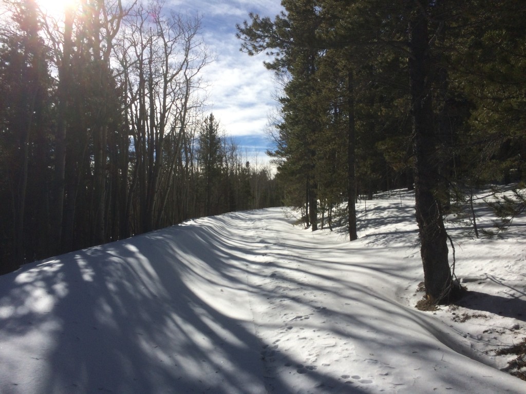 Snowy road