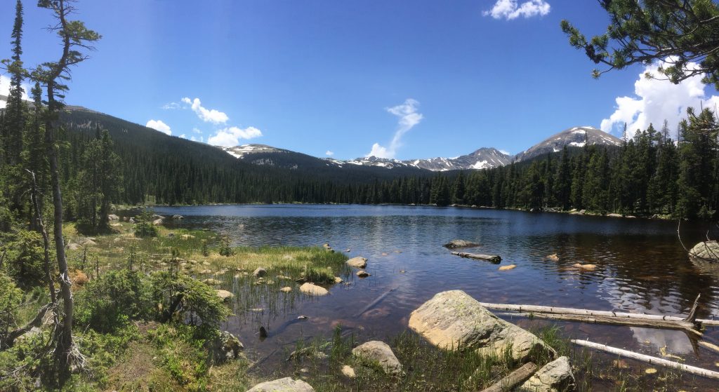 Finch Lake in Summer