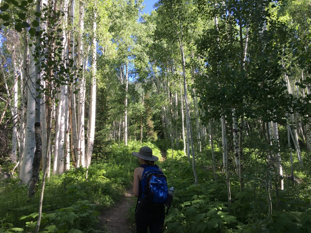 Aspens