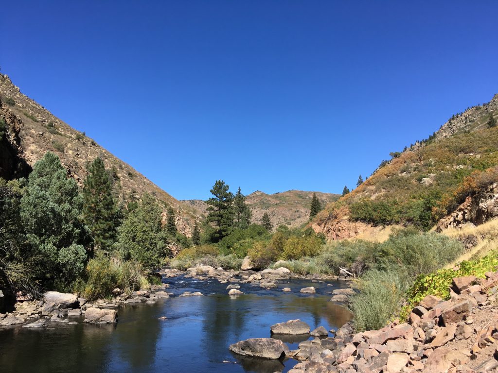 Views up the canyon